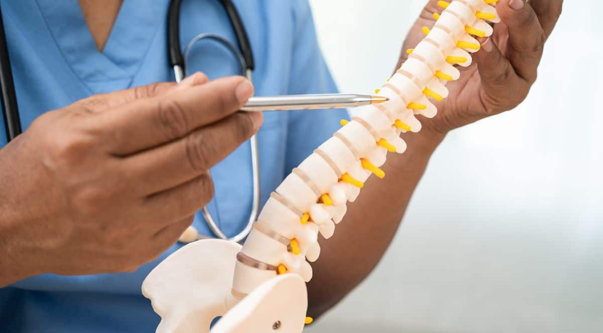 The Science Behind Pain Relief Through Precise Spinal Alignment